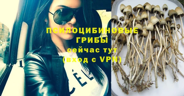 экстази Няндома