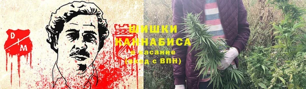 ПСИЛОЦИБИНОВЫЕ ГРИБЫ Нягань