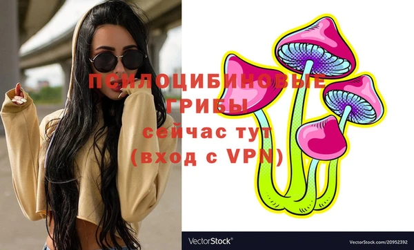 ПСИЛОЦИБИНОВЫЕ ГРИБЫ Нягань