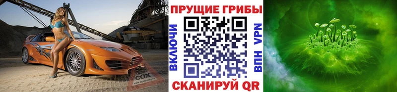 закладки  Баймак  Галлюциногенные грибы ЛСД 